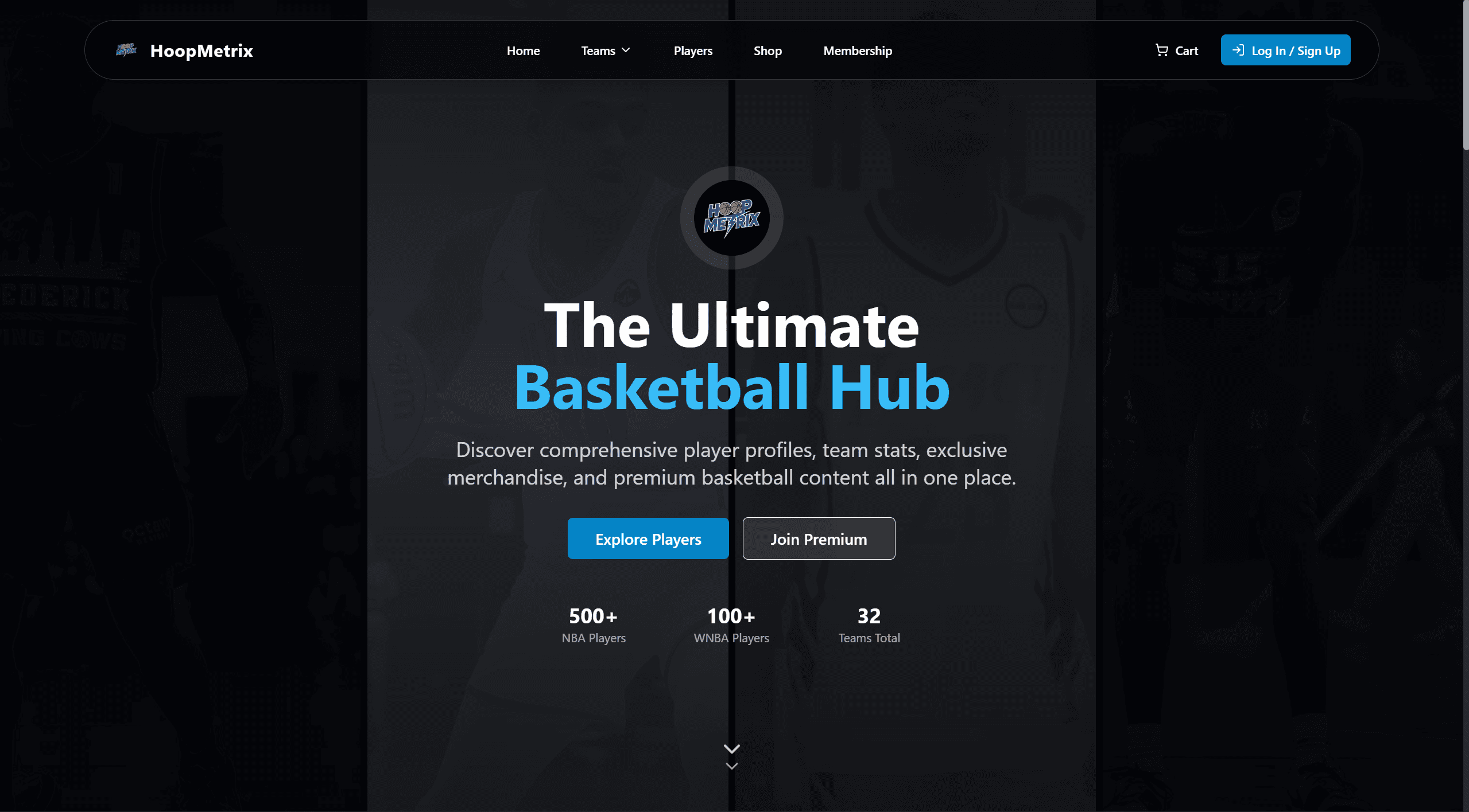 Hoop Metrix - Image 1